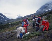 Eivind Gamlesæter f. 1977, Jotunheimen, Oppland, svelnosbreen, Åsmund Gamlesæter g. Izaki f. 1980 : Eivind Gamlesæter f. 1977, Jotunheimen, Oppland, svelnosbreen, Åsmund Gamlesæter g. Izaki f. 1980