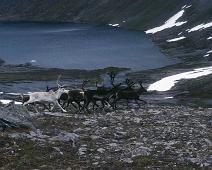 Fangenskap, Møre og Romsdal, Tamrein, Trollheimen : Fangenskap, Møre og Romsdal, Tamrein, Trollheimen