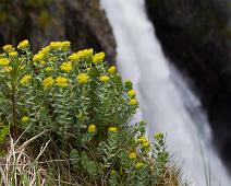 Vøringsfossen : Vøringsfossen