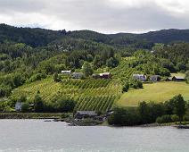 Ulvik : Ulvik