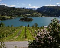 Ulvik : Ulvik
