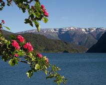 Ulvik : Ulvik