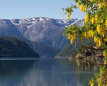 Ulvik : Ulvik