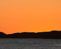 Mølen : Mølen