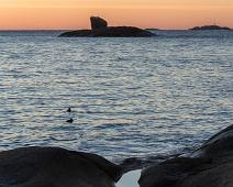 Mølen : Mølen