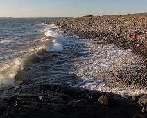 Mølen : Mølen