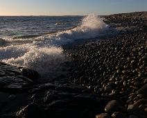 Mølen : Mølen
