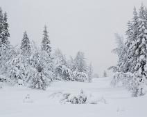 20140126-103402