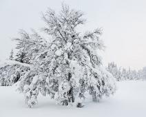 20140126-104345