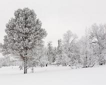 20140126-125959