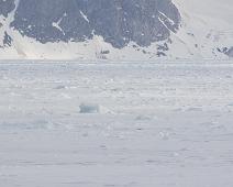 Biscayarhuken, Isbjørn, Norge, Svalbard : Biscayarhuken, Isbjørn, Norge, Svalbard