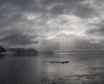 Svalbardlandskap : Svalbardlandskap