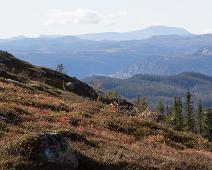 Buskerud, Norge, Trillemarka, madonnastatuen : Buskerud, Norge, Trillemarka, madonnastatuen