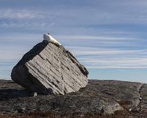 Buskerud, Norge, Trillemarka, madonnastatuen : Buskerud, Norge, Trillemarka, madonnastatuen